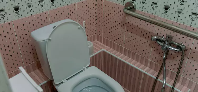 Meeting Diverse Needs With Accessible Restroom Solutions in Dixon, CA